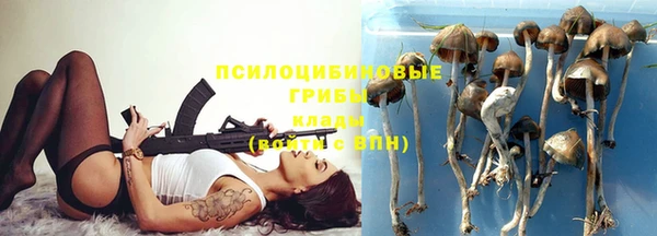 прущие крисы Абаза