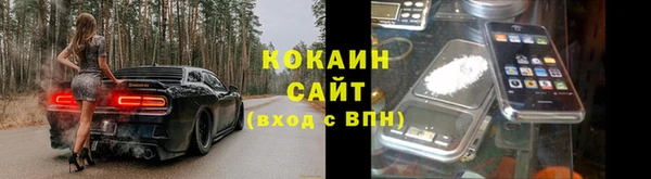 прущие крисы Абаза
