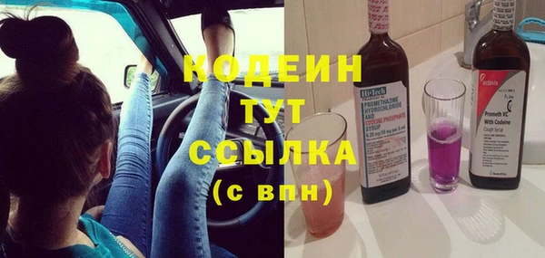 прущие крисы Абаза